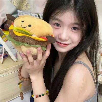 大盗明星梦